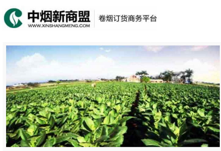 中烟新商盟卷烟订货商务平台-易彩堂下载